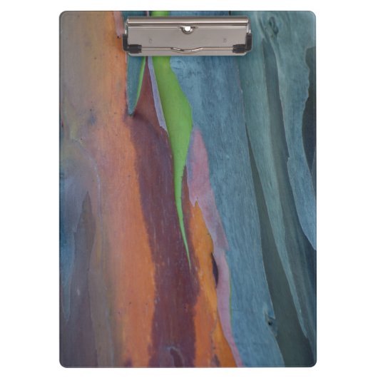 Zusammenfassung des Rainbow Gum Baumes Klemmbrett (Vorderseite)