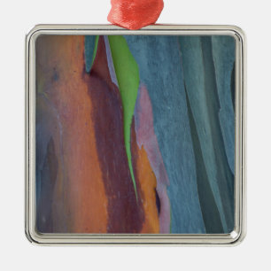Zusammenfassung des Rainbow Gum Baumes Ornament Aus Metall