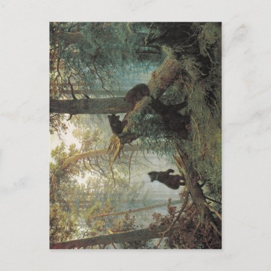 Zusammenfassung Schischkin, Iwan Iwanowitsch Savit Postkarte (Vorderseite)