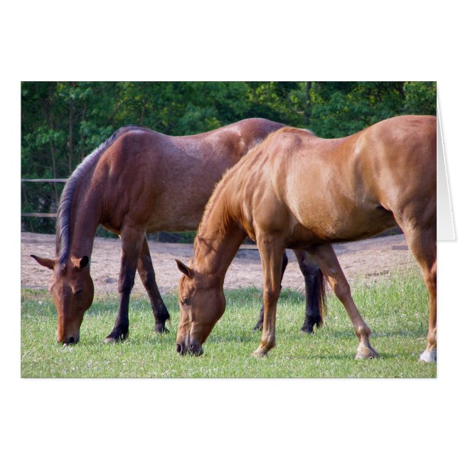 Zusammengehörigkeit (Vorderseite (Horizontal))