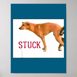 Zusammengeklebte Hunde Lustiges Paar Sagt Zitat Hu Poster