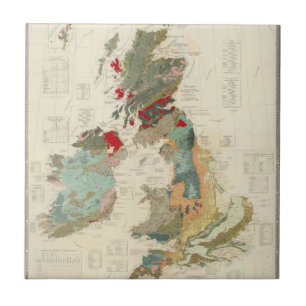 Zusammengesetzte geologische, paläontologische fliese