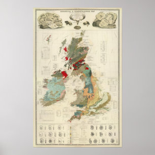 Zusammengesetzte geologische, paläontologische poster