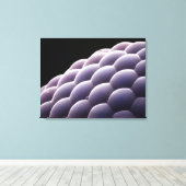 Zusammengesetztes Auge aus einem Insekt Leinwanddruck (Insitu (Holzboden))