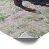 Zusammenkommen Poster (Ecke)