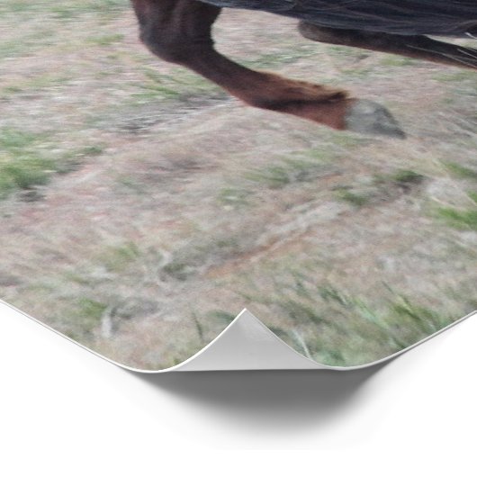 Zusammenkommen Poster (Ecke)