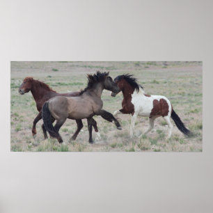 Zusammenkommen Poster