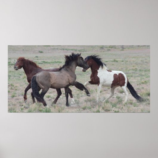 Zusammenkommen Poster (Vorne)