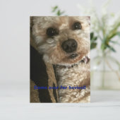 Zusammenkommen und aufholen einladung (Stehend Vorderseite)