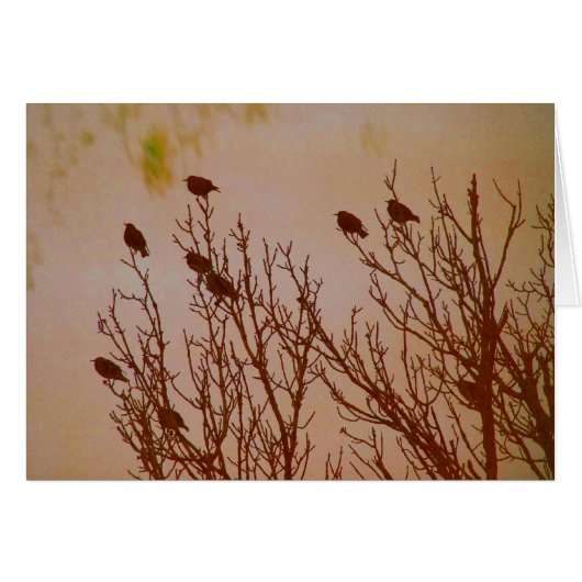 zusammenschließen (Vorderseite (Horizontal))