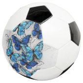 Zusammensetzung der weißen und blauen Schmetterlin Fußball (Dreiviertel)