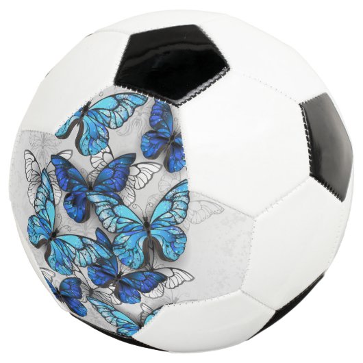 Zusammensetzung der weißen und blauen Schmetterlin Fußball (Dreiviertel)