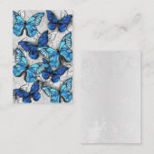Zusammensetzung der weißen und blauen Schmetterlin Visitenkarte (Vorne/Hinten)