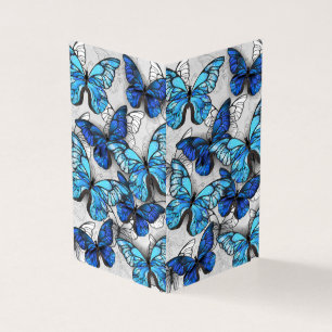 Zusammensetzung von White und Blue Butterflies