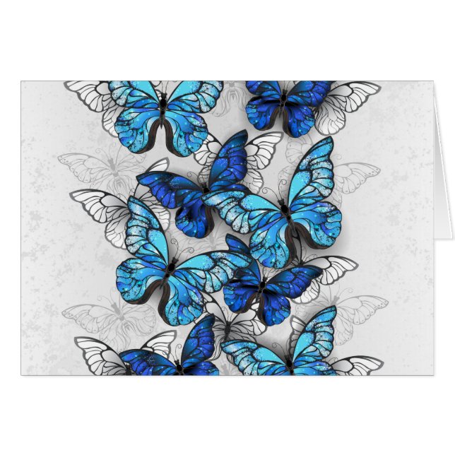 Zusammensetzung von White und Blue Butterflies (Vorderseite (Horizontal))