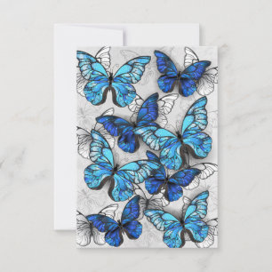 Zusammensetzung von White und Blue Butterflies
