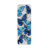 Zusammensetzung von White und Blue Butterflies (Vorne)