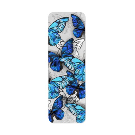 Zusammensetzung von White und Blue Butterflies (Vorne)