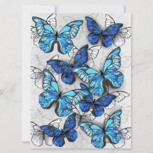 Zusammensetzung von White und Blue Butterflies Ankündigung