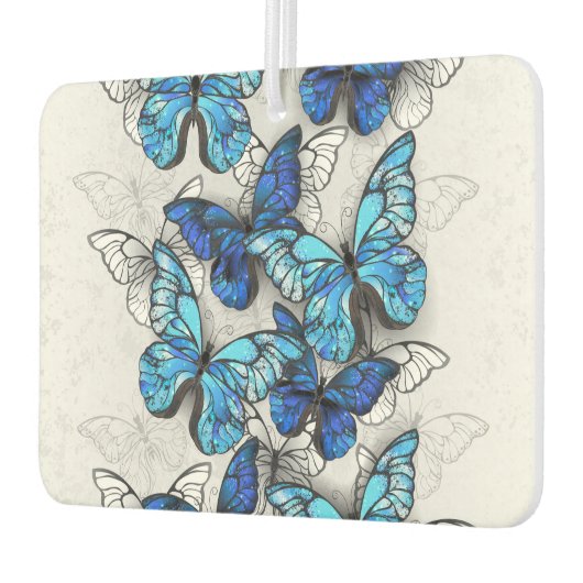 Zusammensetzung von White und Blue Butterflies Autolufterfrischer (Links)