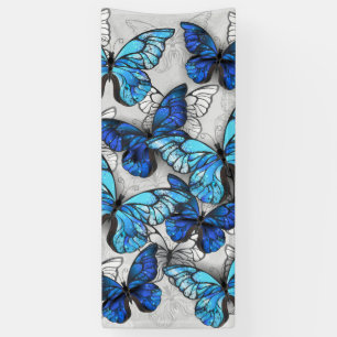 Zusammensetzung von White und Blue Butterflies Banner