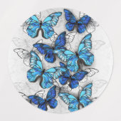 Zusammensetzung von White und Blue Butterflies Etiketten (Design 2)
