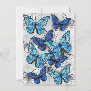 Zusammensetzung von White und Blue Butterflies Feiertagskarte