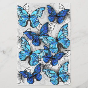 Zusammensetzung von White und Blue Butterflies Flyer