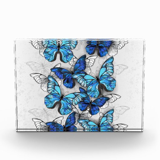 Zusammensetzung von White und Blue Butterflies Fotoblock (Vorderseite)