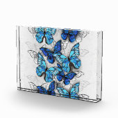 Zusammensetzung von White und Blue Butterflies Fotoblock (Rechts)