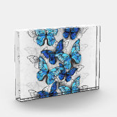 Zusammensetzung von White und Blue Butterflies Fotoblock (Links)