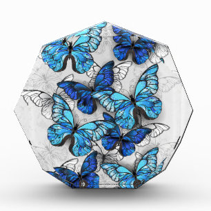 Zusammensetzung von White und Blue Butterflies Fotoblock
