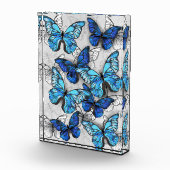 Zusammensetzung von White und Blue Butterflies Fotoblock (Rechts)