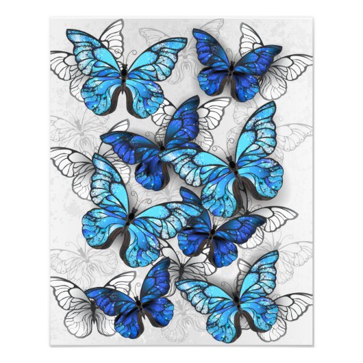 Zusammensetzung von White und Blue Butterflies Fotodruck (Vorne)