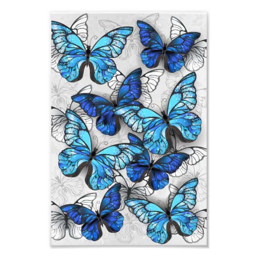 Zusammensetzung von White und Blue Butterflies Fotodruck (Vorne)