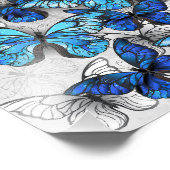 Zusammensetzung von White und Blue Butterflies Fotodruck (Ecke)