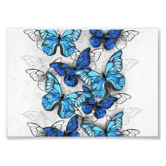 Zusammensetzung von White und Blue Butterflies Fotodruck (Vorne)
