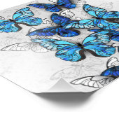Zusammensetzung von White und Blue Butterflies Fotodruck (Ecke)