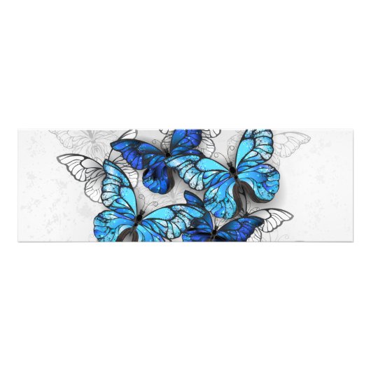 Zusammensetzung von White und Blue Butterflies Fotodruck (Vorne)