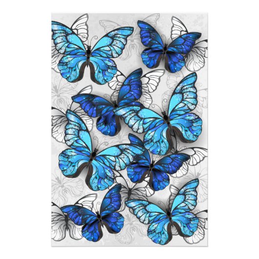Zusammensetzung von White und Blue Butterflies Fotodruck (Vorne)