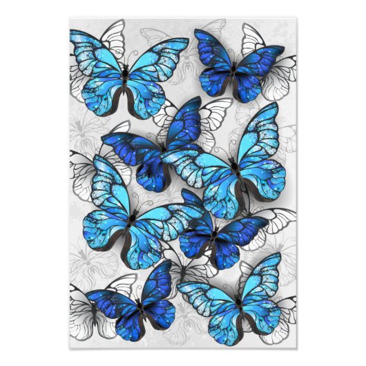 Zusammensetzung von White und Blue Butterflies Fotodruck (Vorne)