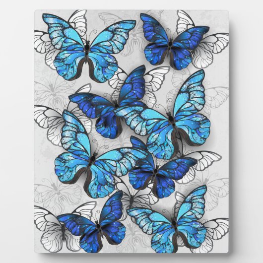 Zusammensetzung von White und Blue Butterflies Fotoplatte (Vorderseite)
