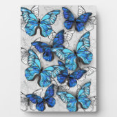 Zusammensetzung von White und Blue Butterflies Fotoplatte (Vorderseite)