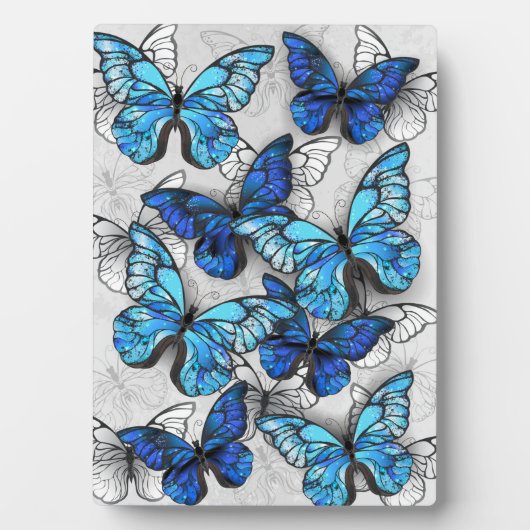 Zusammensetzung von White und Blue Butterflies Fotoplatte (Vorderseite)