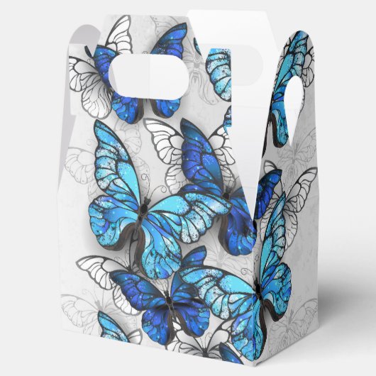 Zusammensetzung von White und Blue Butterflies Geschenkschachtel (Geöffnet)