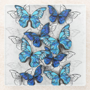 Zusammensetzung von White und Blue Butterflies Glasuntersetzer