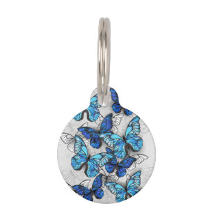 Zusammensetzung von White und Blue Butterflies Haustiermarke
