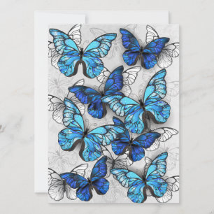 Zusammensetzung von White und Blue Butterflies Hinweiskarte