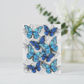 Zusammensetzung von White und Blue Butterflies Karte (Stehend Vorderseite)