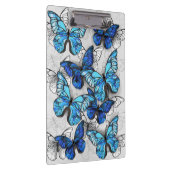 Zusammensetzung von White und Blue Butterflies Klemmbrett (Rechts)